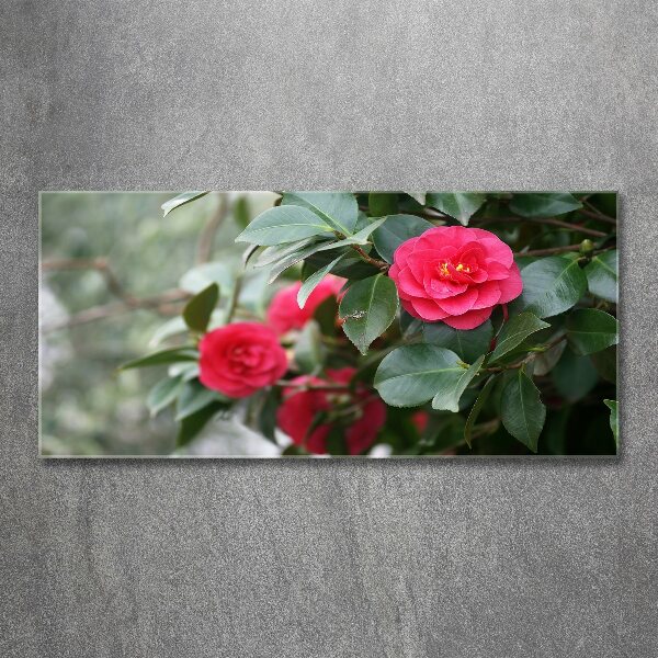 Wall art acrylic Camellia