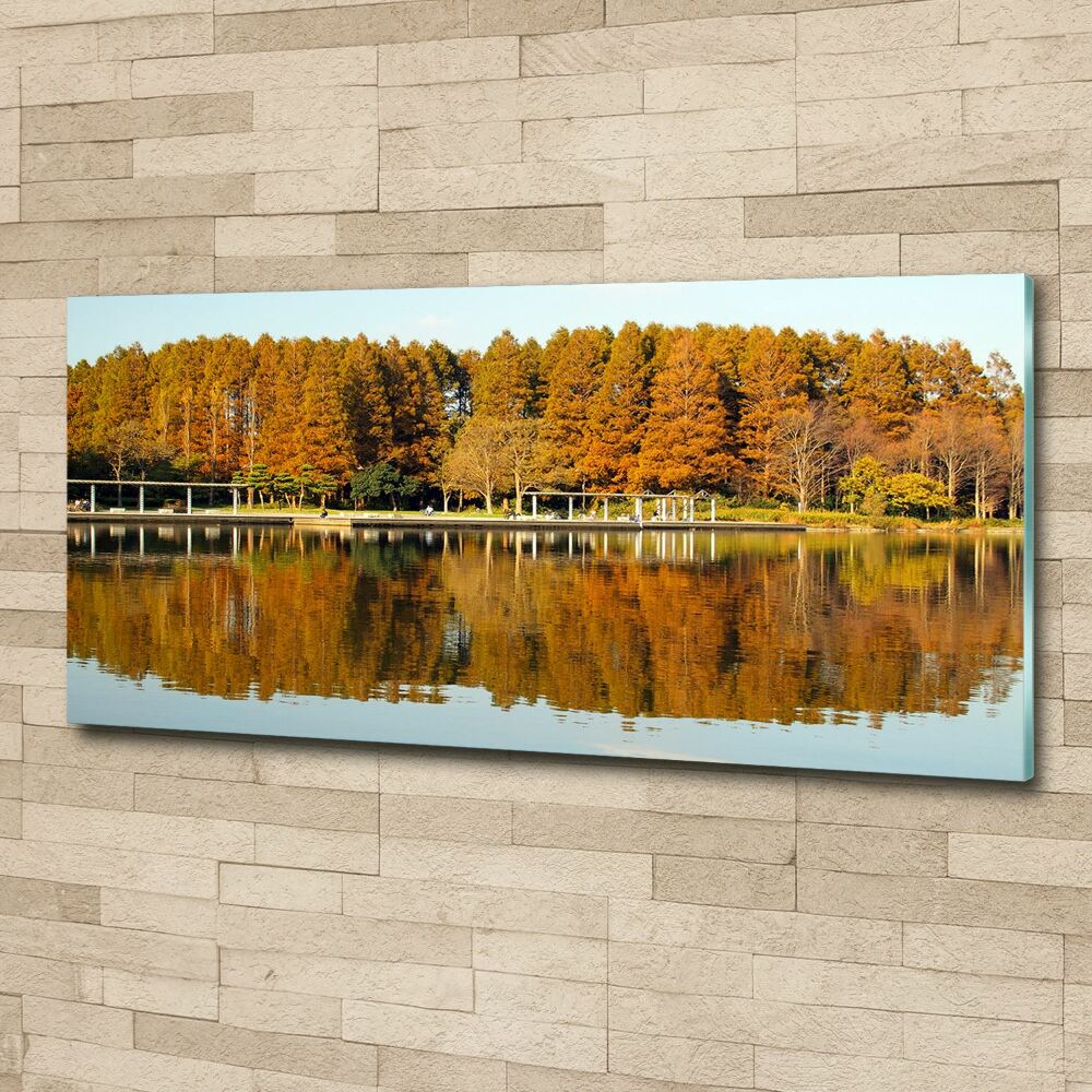 Wall art acrylic Forest by the lake