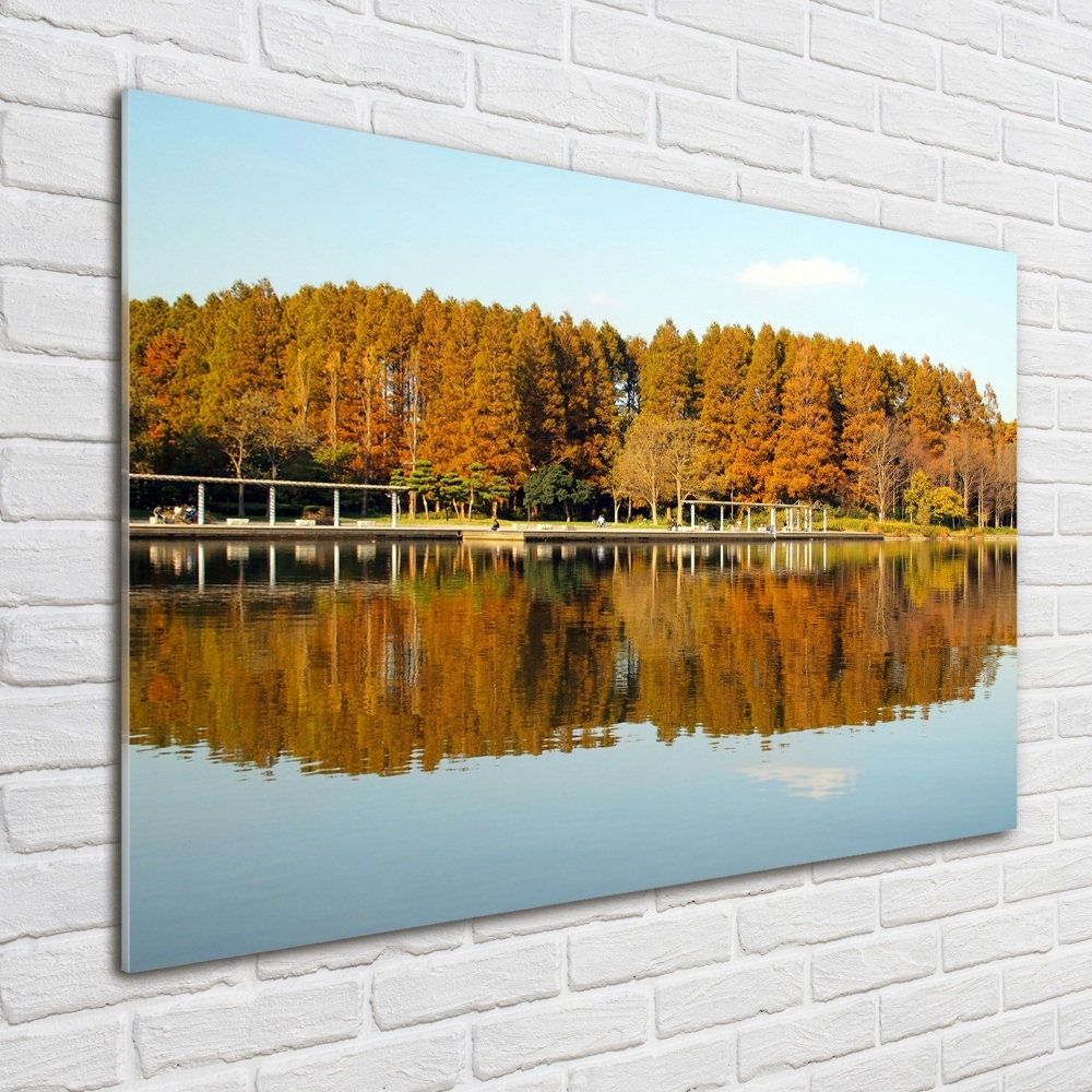 Wall art acrylic Forest by the lake