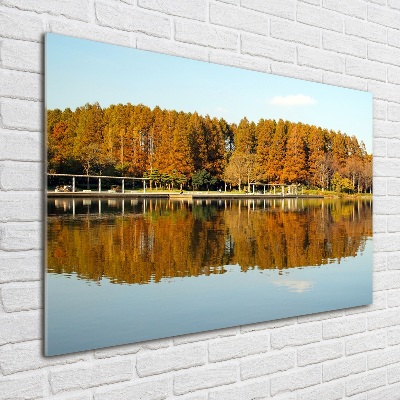 Wall art acrylic Forest by the lake