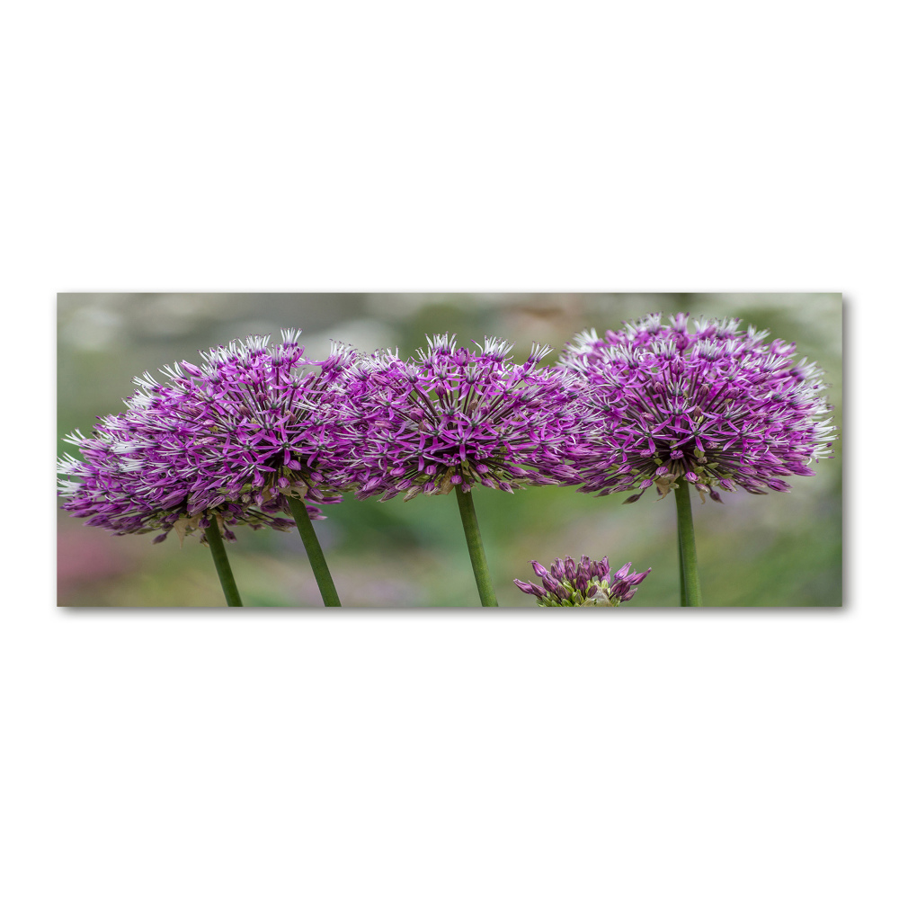 Acrylic wall art Garlic flower