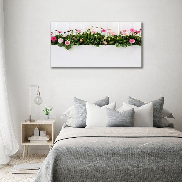 Print on acrylic Pink daisies