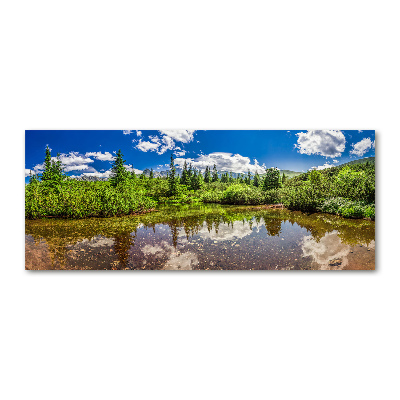 Print on acrylic Lake in the forest