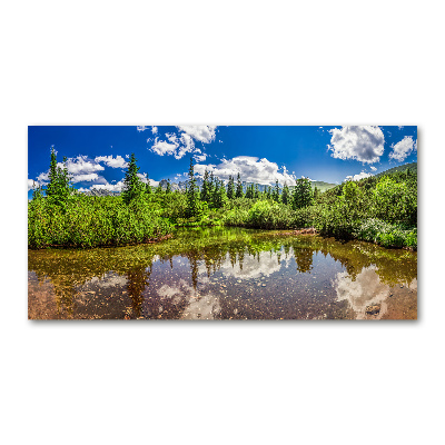 Print on acrylic Lake in the forest