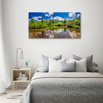 Print on acrylic Lake in the forest