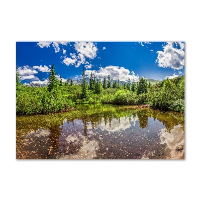 Print on acrylic Lake in the forest