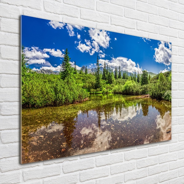 Print on acrylic Lake in the forest