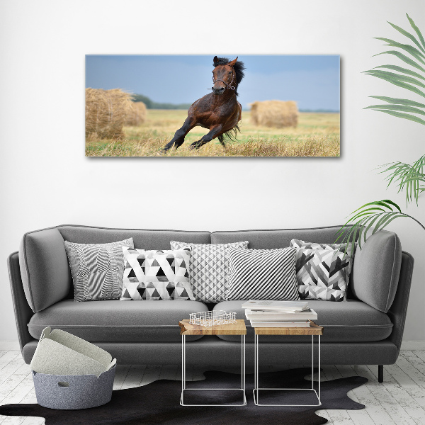 Print on acrylic Horse at a gallop