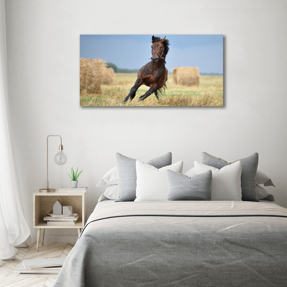 Print on acrylic Horse at a gallop