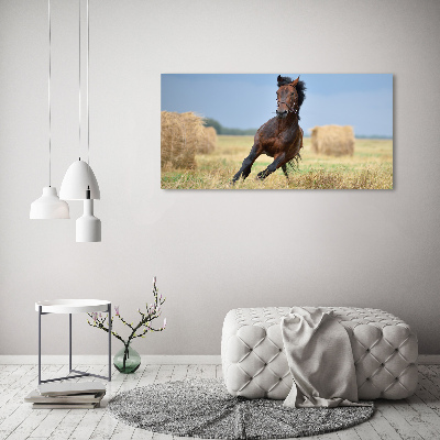 Print on acrylic Horse at a gallop