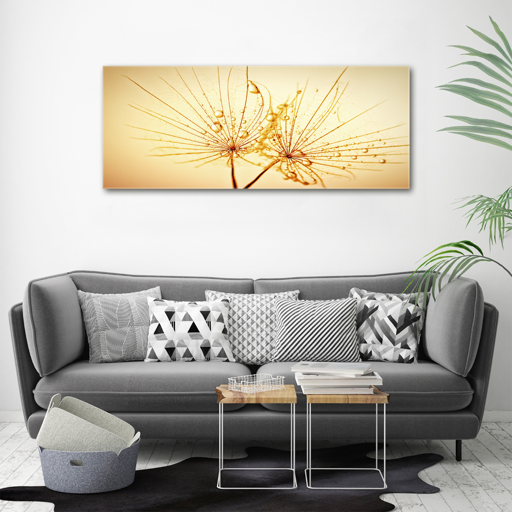 Print on acrylic Dandelion seeds