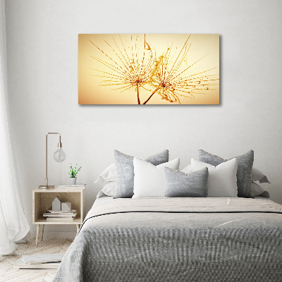 Print on acrylic Dandelion seeds