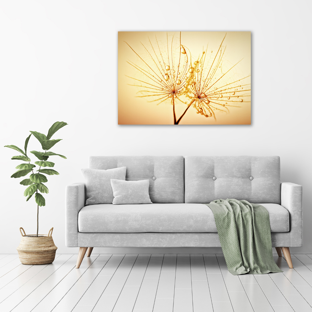 Print on acrylic Dandelion seeds