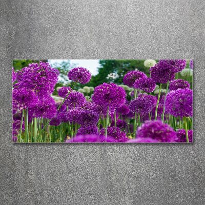 Print on acrylic Garlic flowers