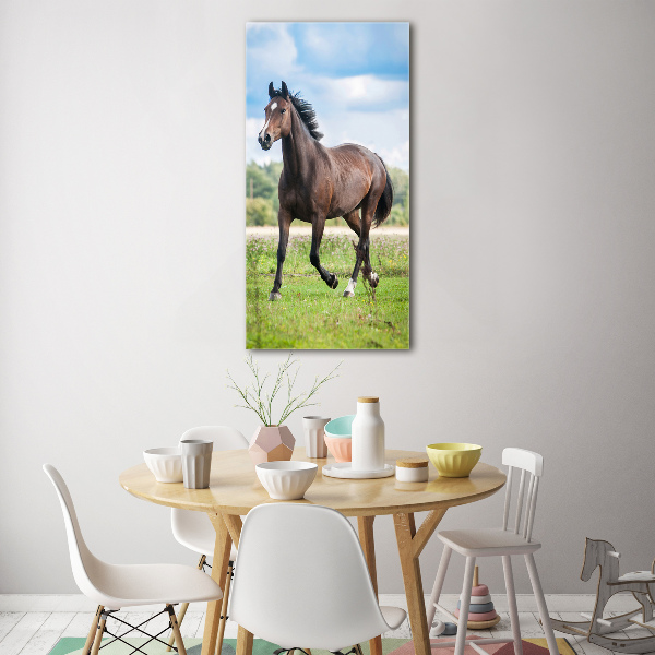 Print on acrylic Horse