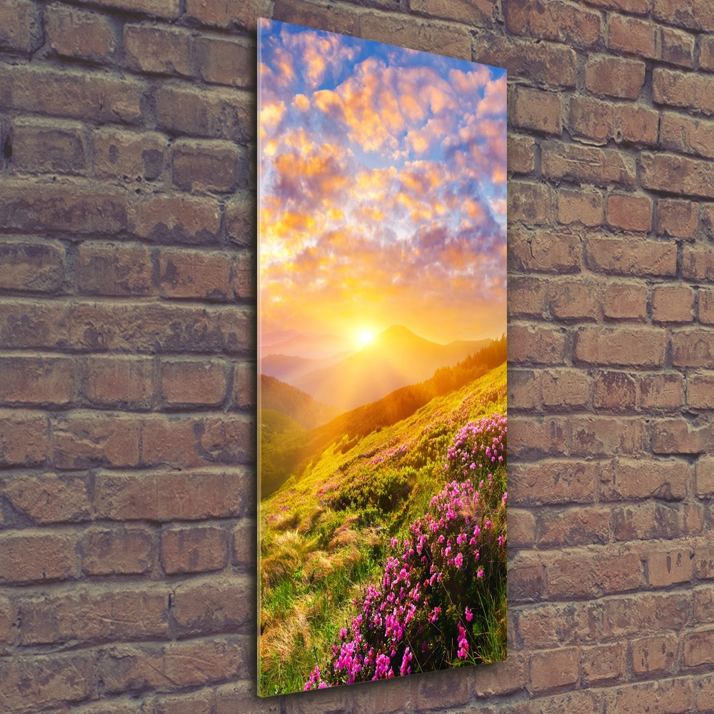 Acrylic wall art Sunset of the mountain