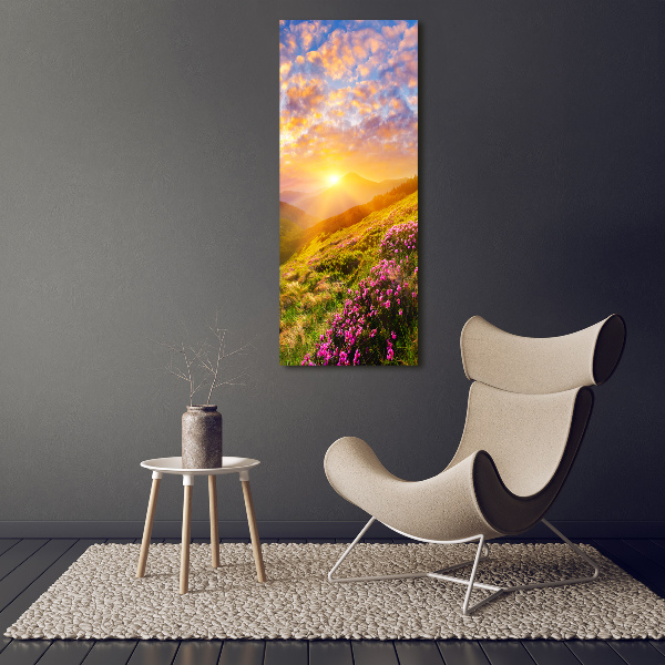 Acrylic wall art Sunset of the mountain