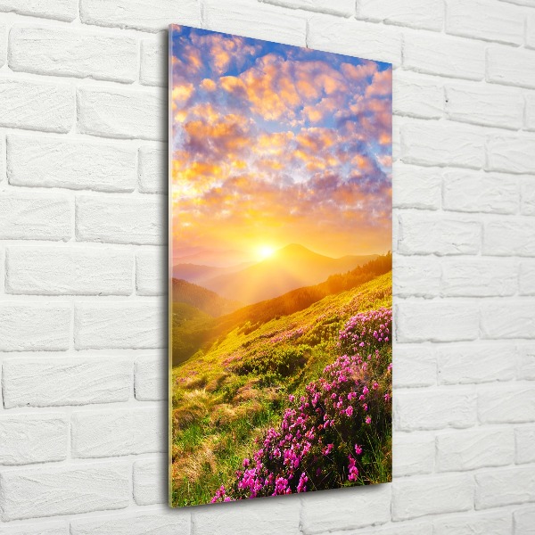 Acrylic wall art Sunset of the mountain