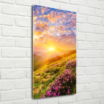 Acrylic wall art Sunset of the mountain