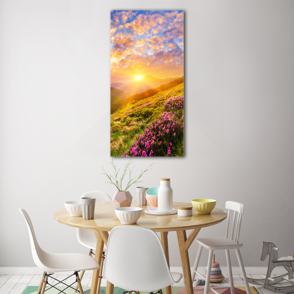 Acrylic wall art Sunset of the mountain