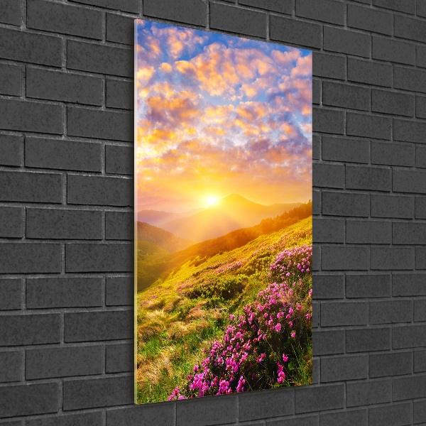 Acrylic wall art Sunset of the mountain