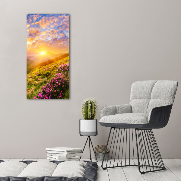 Acrylic wall art Sunset of the mountain