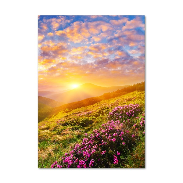 Acrylic wall art Sunset of the mountain