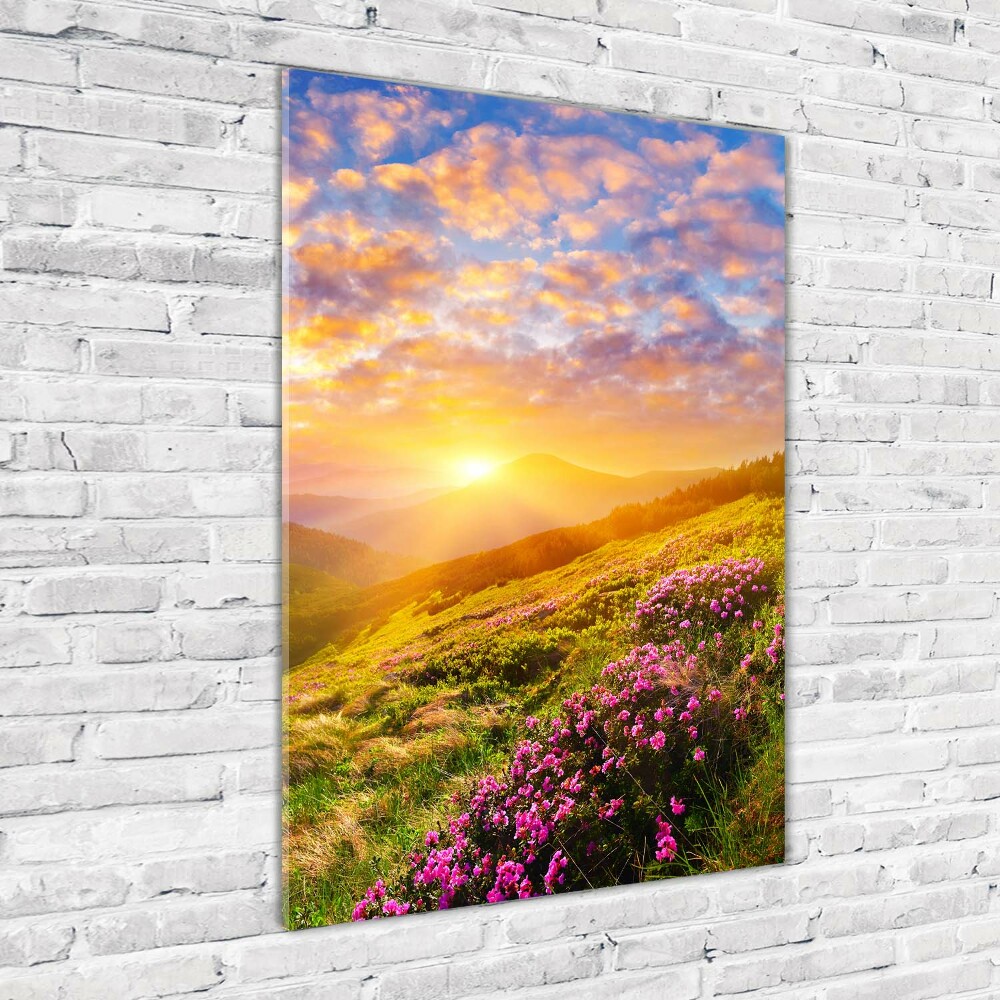 Acrylic wall art Sunset of the mountain