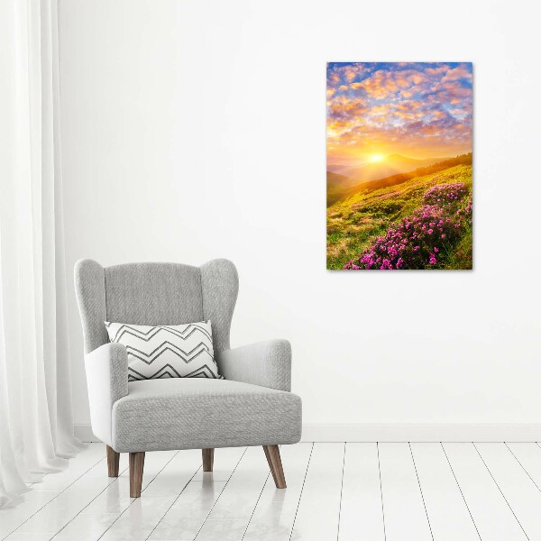 Acrylic wall art Sunset of the mountain