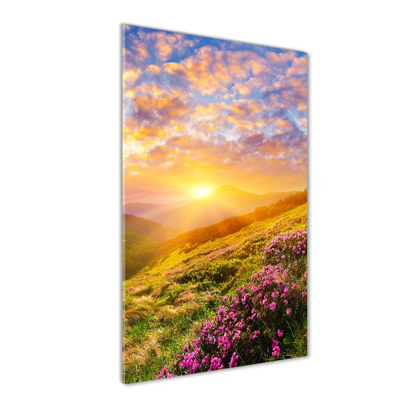 Acrylic wall art Sunset of the mountain