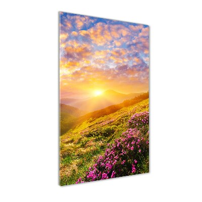 Acrylic wall art Sunset of the mountain