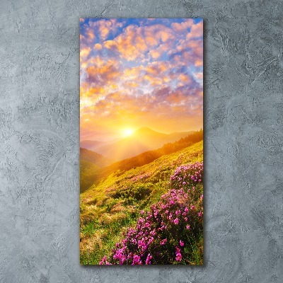 Acrylic wall art Sunset of the mountain