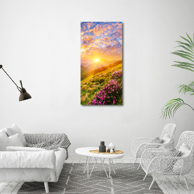 Acrylic wall art Sunset of the mountain