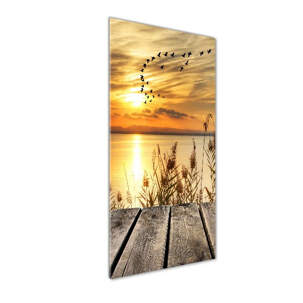 Acrylic wall art Sunset