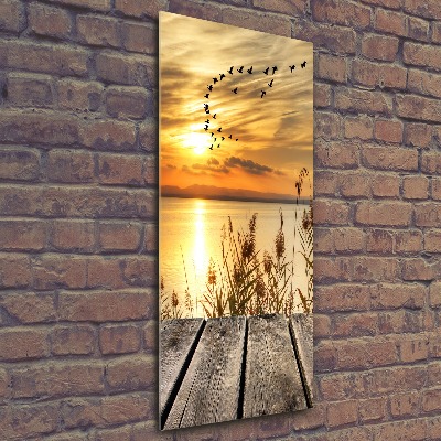 Acrylic wall art Sunset