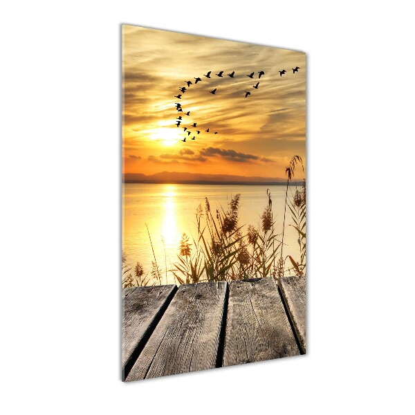 Acrylic wall art Sunset