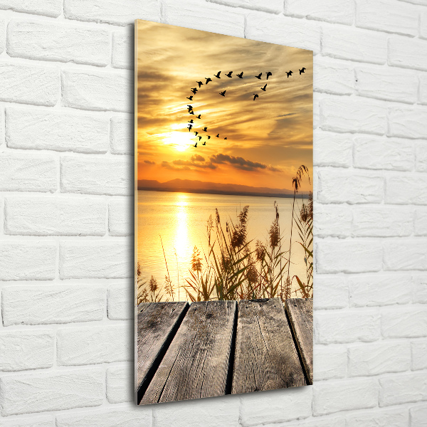 Acrylic wall art Sunset