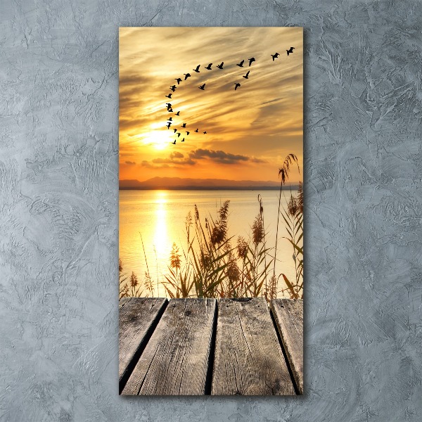 Acrylic wall art Sunset