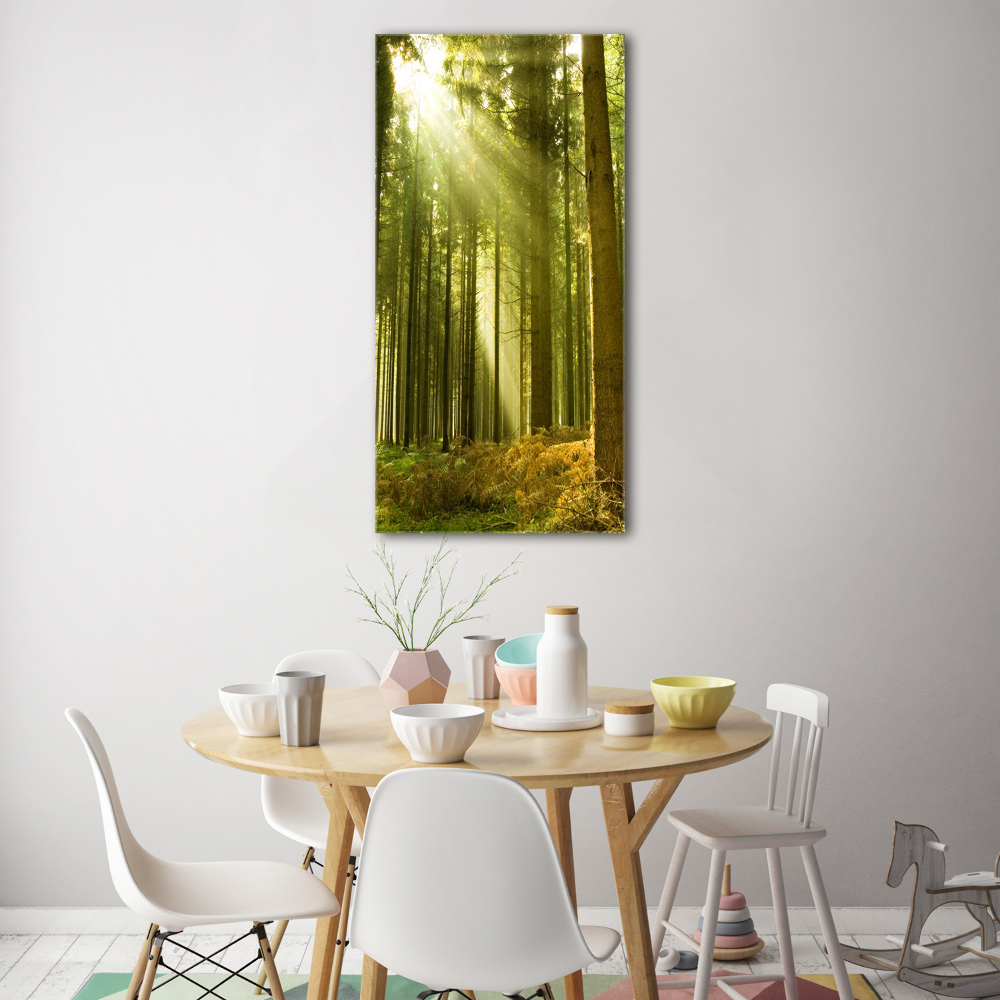 Print on acrylic The sun in the forest