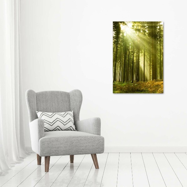 Print on acrylic The sun in the forest