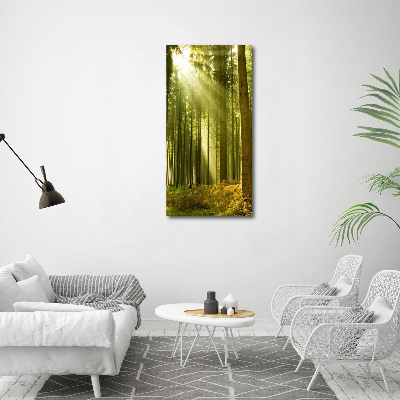 Print on acrylic The sun in the forest