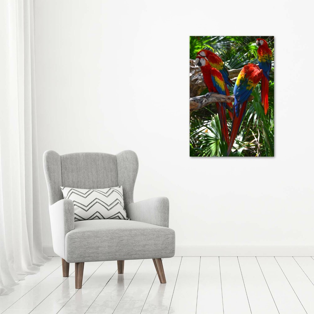 Print on acrylic Ary parrots