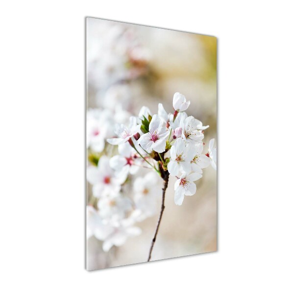 Wall art acrylic Cherry blossoms