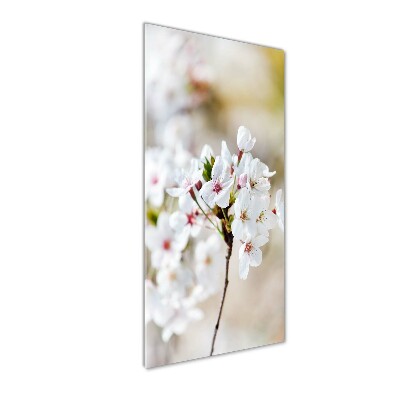 Wall art acrylic Cherry blossoms