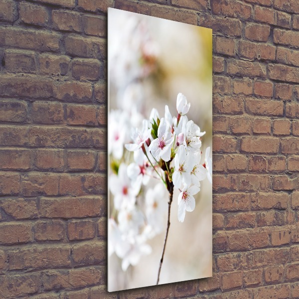 Wall art acrylic Cherry blossoms