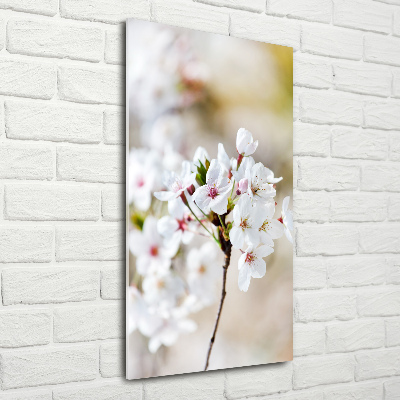 Wall art acrylic Cherry blossoms