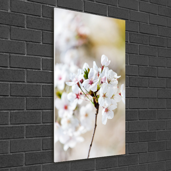 Wall art acrylic Cherry blossoms