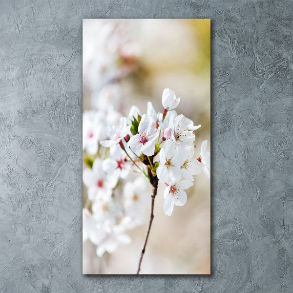 Wall art acrylic Cherry blossoms