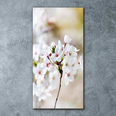 Wall art acrylic Cherry blossoms