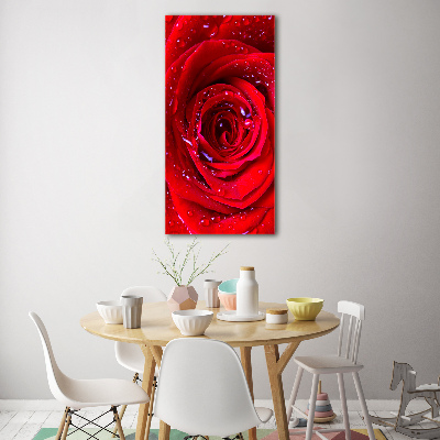 Acrylic wall art Red rose